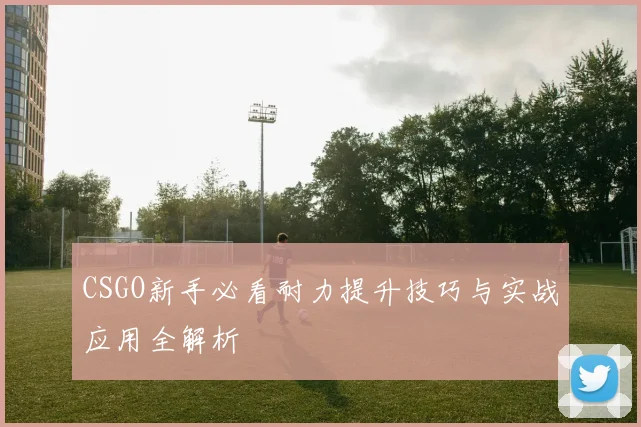 CSGO新手必看耐力提升技巧与实战应用全解析