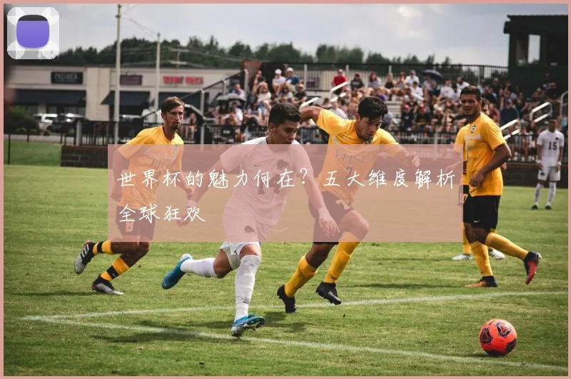 世界杯的魅力何在？五大维度解析全球狂欢