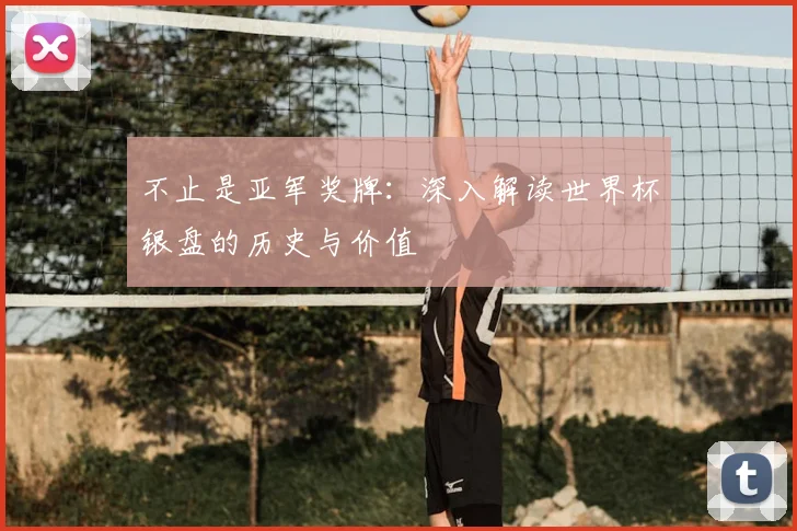 不止是亚军奖牌:深入解读世界杯银盘的历史与价值