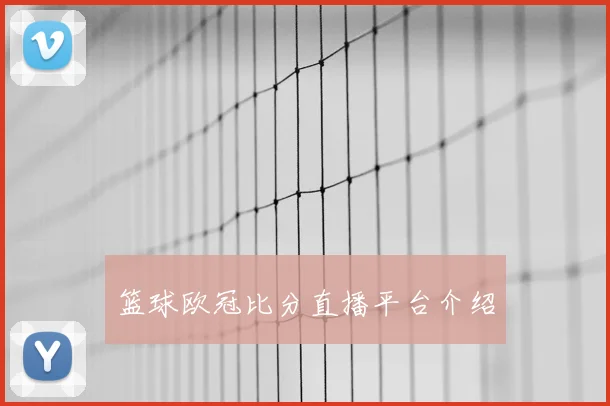 篮球欧冠比分直播平台介绍