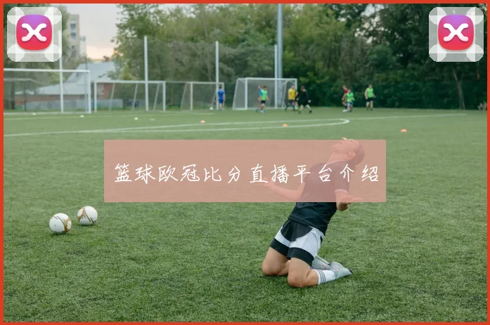 篮球欧冠比分直播平台介绍