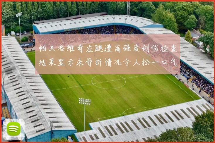 帕夫洛维奇左腿遭高强度创伤检查结果显示未骨折情况令人松一口气