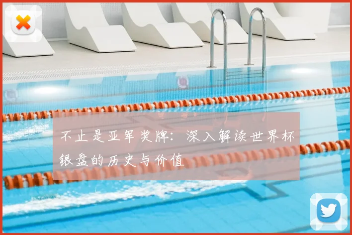 不止是亚军奖牌：深入解读世界杯银盘的历史与价值