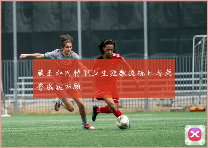 狼王加内特职业生涯数据统计与荣誉成就回顾