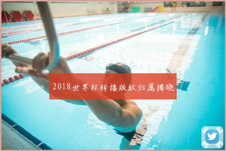 2018世界杯转播版权归属揭晓