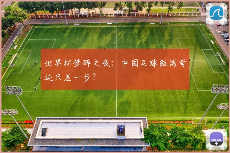 世界杯梦碎之夜：中国足球距离奇迹只差一步？