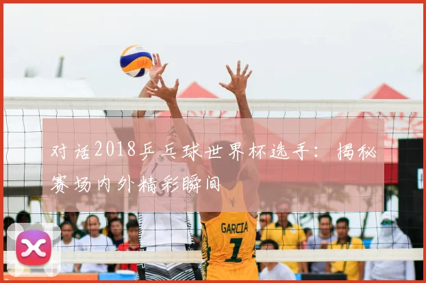 对话2018乒乓球世界杯选手：揭秘赛场内外精彩瞬间