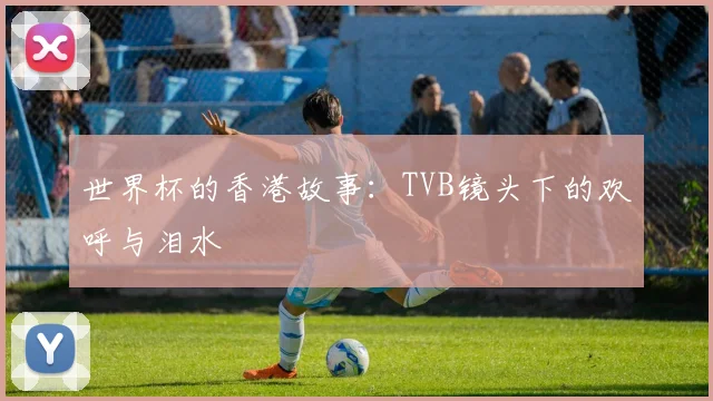 世界杯的香港故事：TVB镜头下的欢呼与泪水