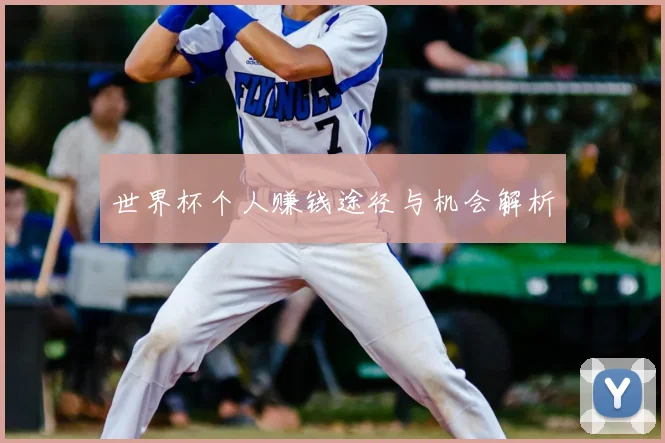 世界杯个人赚钱途径与机会解析