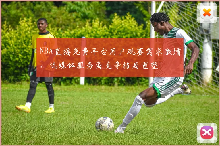 NBA直播免费平台用户观赛需求激增,流媒体服务商竞争格局重塑