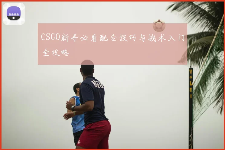 CSGO新手必看配合技巧与战术入门全攻略