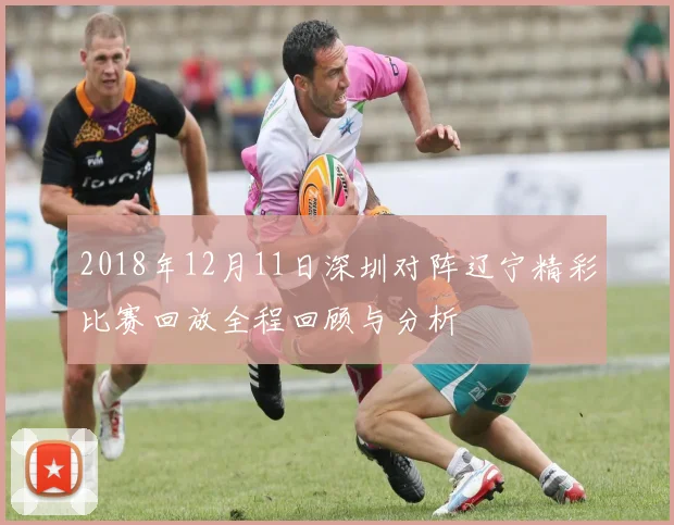 2018年12月11日深圳对阵辽宁精彩比赛回放全程回顾与分析