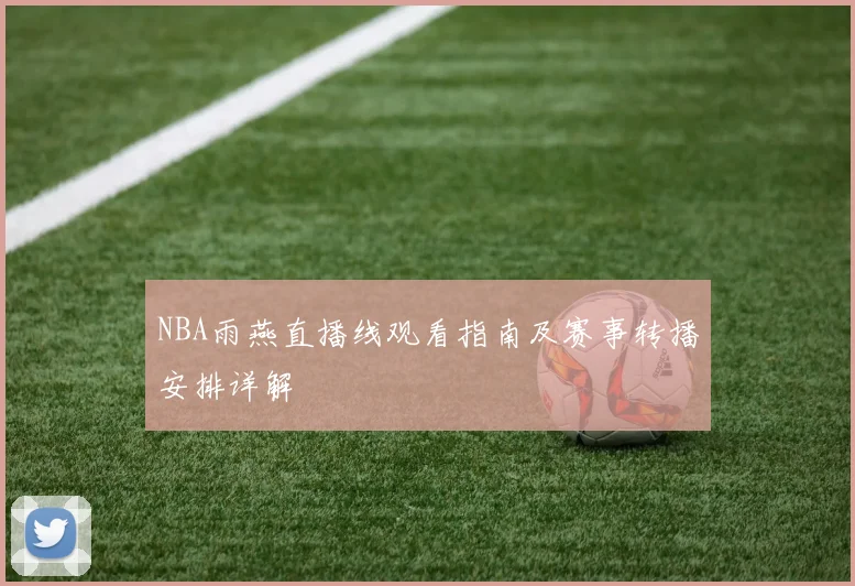 NBA雨燕直播线观看指南及赛事转播安排详解