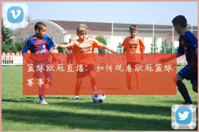 篮球欧冠直播：如何观看欧冠篮球赛事？