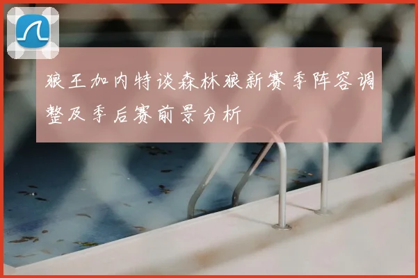 狼王加内特谈森林狼新赛季阵容调整及季后赛前景分析