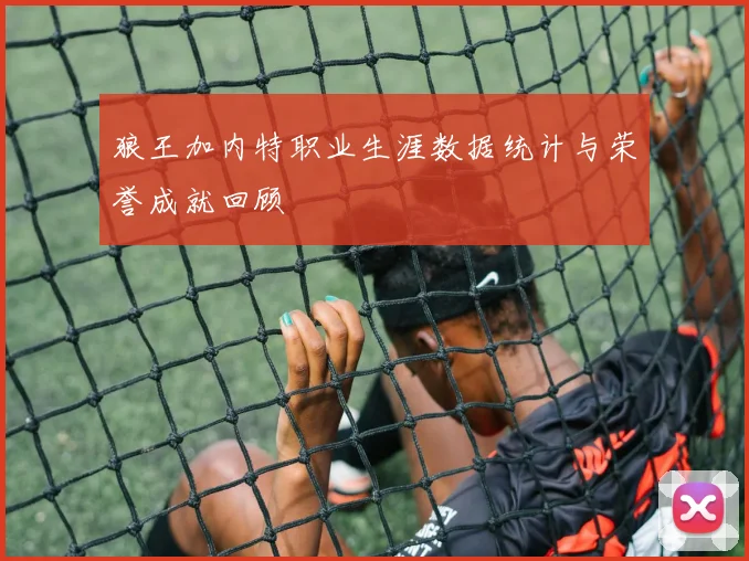 狼王加内特职业生涯数据统计与荣誉成就回顾